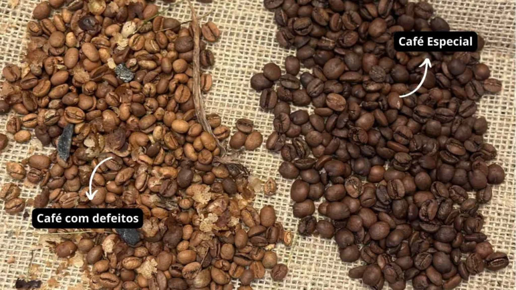 Entenda a diferença entre o café especial e o café tradicional