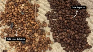 Diferenças do Café Especial e Café Tradicional