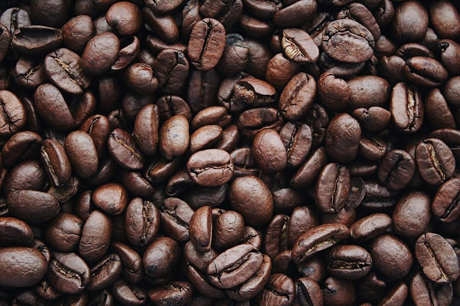 moer café em casa